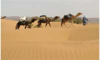 caravane_dans_la_sable