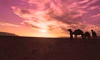 coucher-du-soleil
